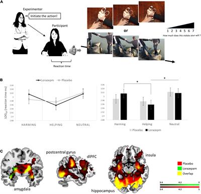 The anti-anxiety drug lorazepam changes implicit behaviors but not explicit evaluations of sense of agency under authoritative pressure: A functional magnetic resonance imaging study